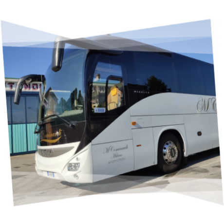 bus cominardi autoservizi